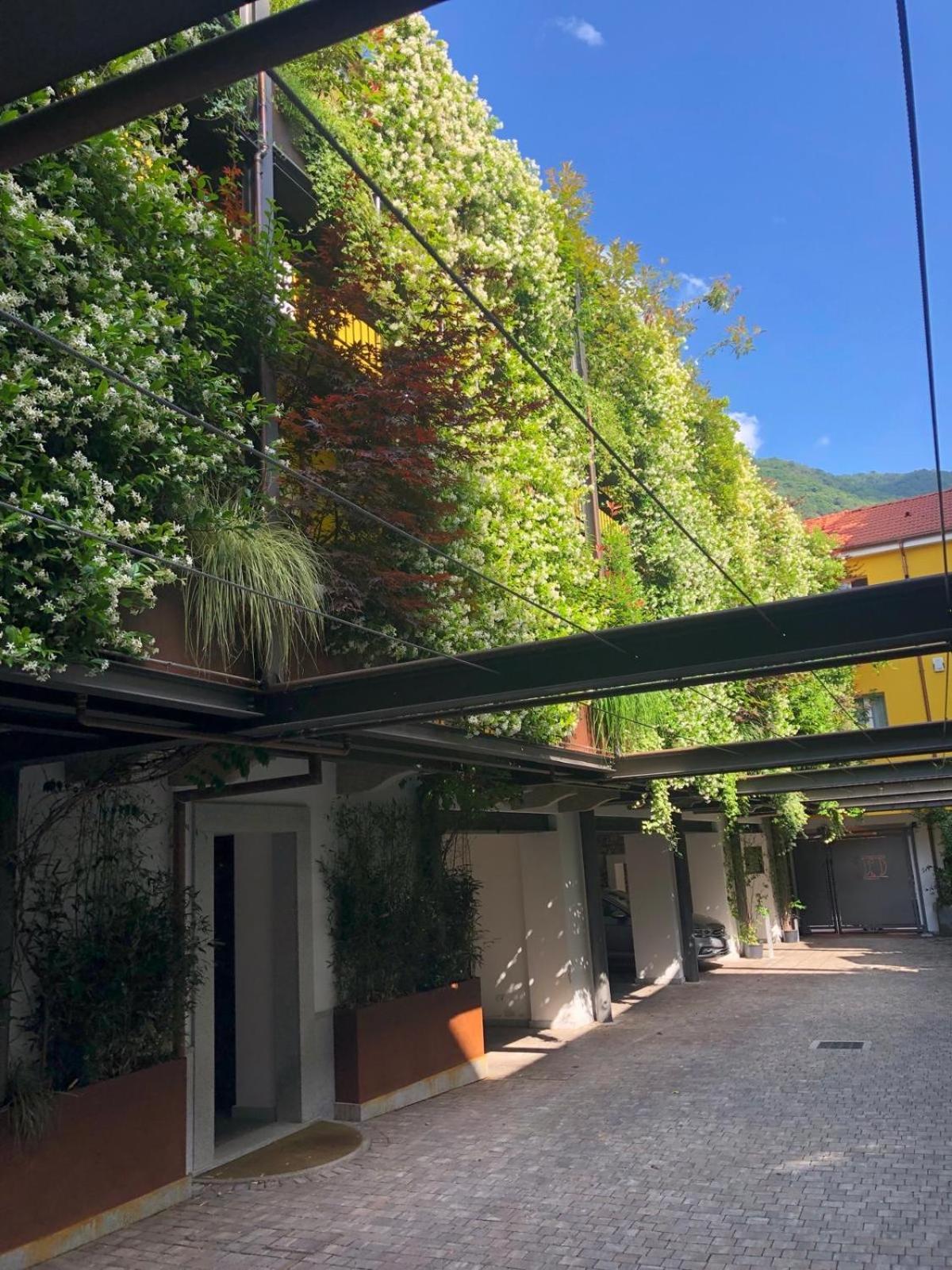 Residence Casa Coppa Appartamento Aster Omegna Dış mekan fotoğraf