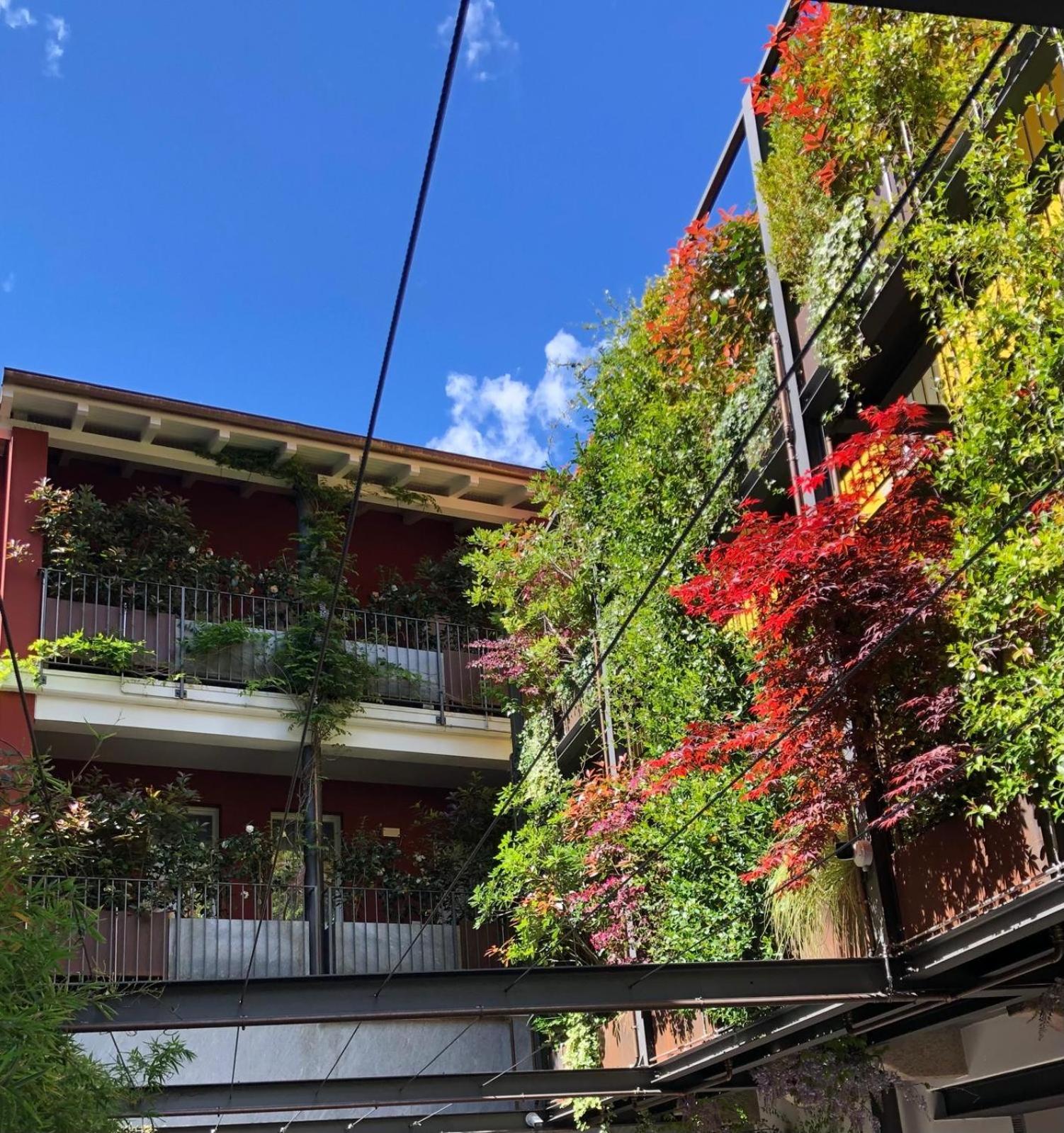 Residence Casa Coppa Appartamento Aster Omegna Dış mekan fotoğraf
